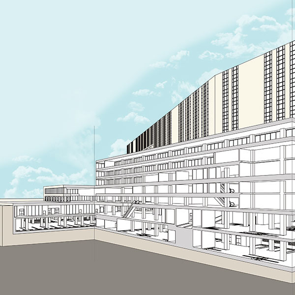 individual-Leejunhui-g