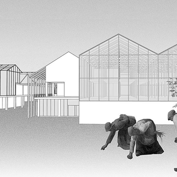 individual-SinYuJin-g