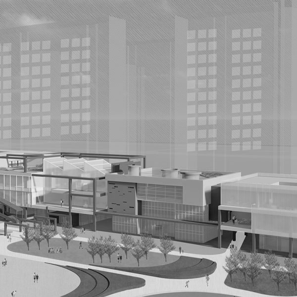 individual-shinjisu-g