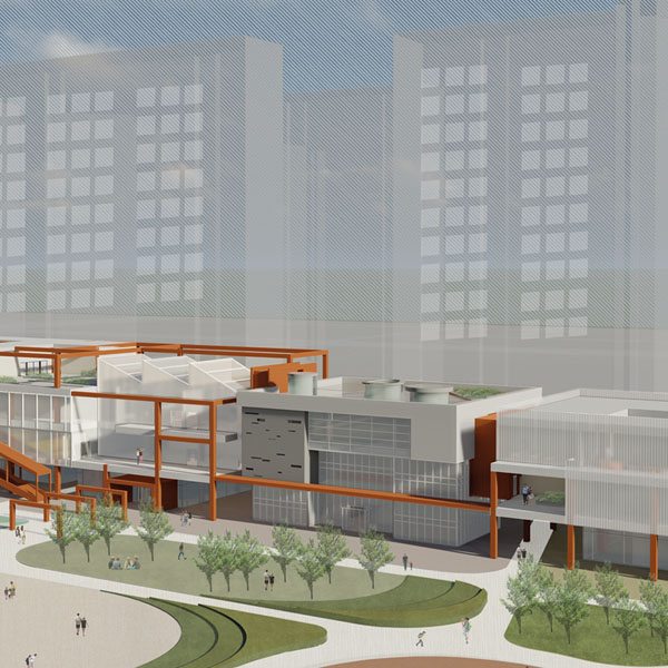 individual-shinjisu-g